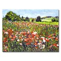 Trademark Fine Art David Lloyd Glover 'Poppy Fields of France' Canvas Art, 35x47 DLG0258-C3547GG